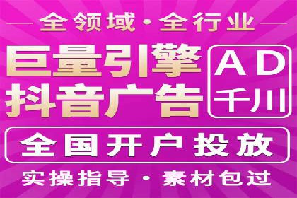 竞价广告的投放时机与频次选择——基于案例的探讨